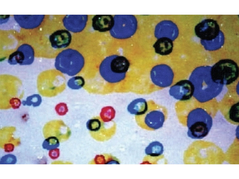 Çöreklerin Flekso Baskı Kusurları