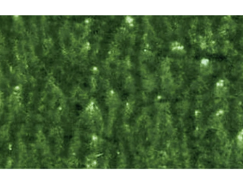 Benekli Görüntünün Flekso Baskı Kusurları